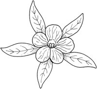 WFD008A.TIF