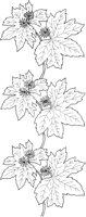 WFD007A.TIF