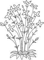 WFD006C.TIF
