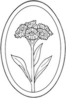 WFD006B.TIF