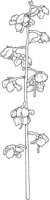 WFD006A.TIF