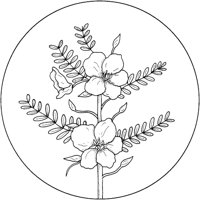WFD005A.TIF