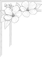 WFD004A.TIF