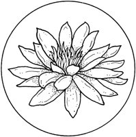 WFD003B.TIF