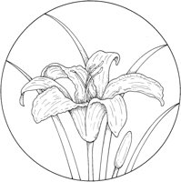 WFD002A.TIF