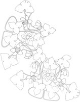 AFD038B.TIF