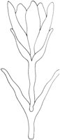AFD036C.TIF