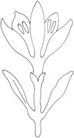 AFD036A.TIF