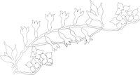 AFD034A.TIF