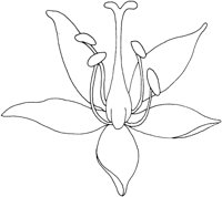 AFD031B.TIF