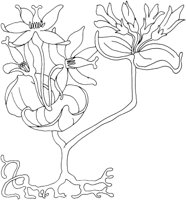 AFD031A.TIF
