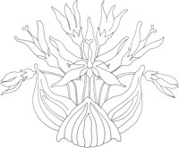 AFD030A.TIF