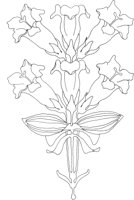 AFD019A.TIF
