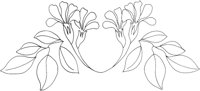 AFD015A.TIF