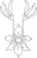 AFD011F.TIF
