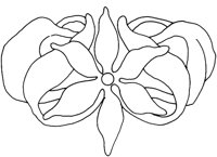 AFD011E.TIF
