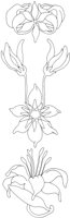 AFD011D.TIF