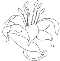 AFD011C.TIF