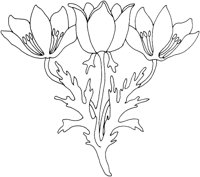 AFD008A.TIF