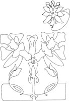 AFD002C.TIF