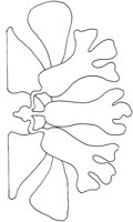 AFD001C.TIF