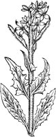 GPF263A.TIF