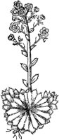 GPF233B.TIF