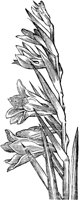 GPF191C.TIF