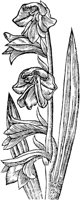 GPF191A.TIF