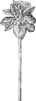 GPF185D.TIF