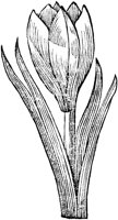 GPF163F.TIF