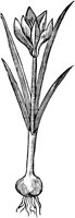 GPF163A.TIF