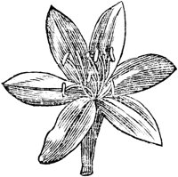 GPF132H.TIF