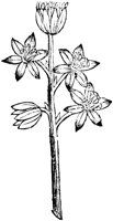 GPF131A.TIF