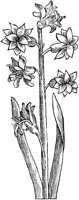 GPF121C.TIF