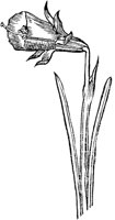 GPF107I.TIF