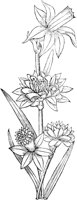 GPF101A.TIF