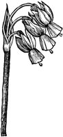 GPF093F.TIF