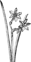 GPF089F.TIF