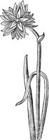 GPF089D.TIF
