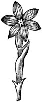 GPF089C.TIF