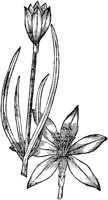 GPF089A.TIF