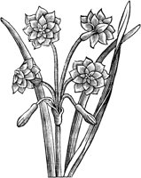 GPF085E.TIF