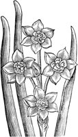 GPF085C.TIF