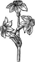 GPF081F.TIF