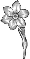 GPF075E.TIF