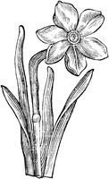 GPF075C.TIF