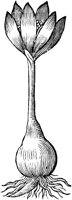 GPF075B.TIF