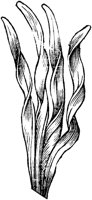 GPF075A.TIF