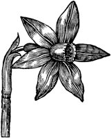 GPF071H.TIF